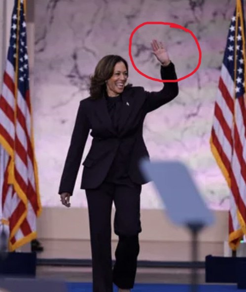 A Body Language Expert Reveals Kamala Harris’s “Revealing Tell” During Speech