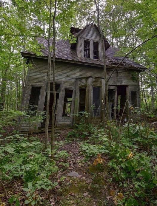 The Old House That Stole Hearts