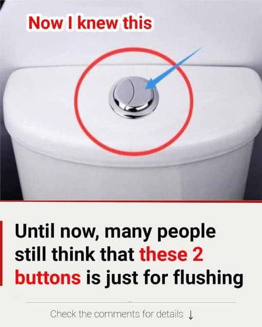 Many People Still Think That These 2 Buttons Are Just For Flushing