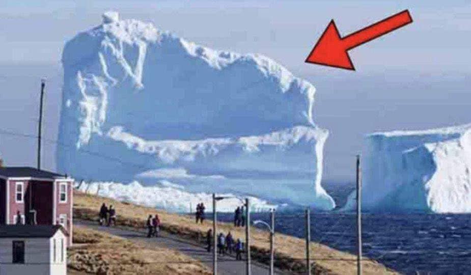 Iceberg Floats Near The Local Village. When People See What’s On It, They Get Scared.